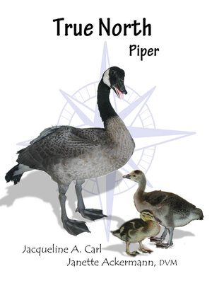 cover image of True North